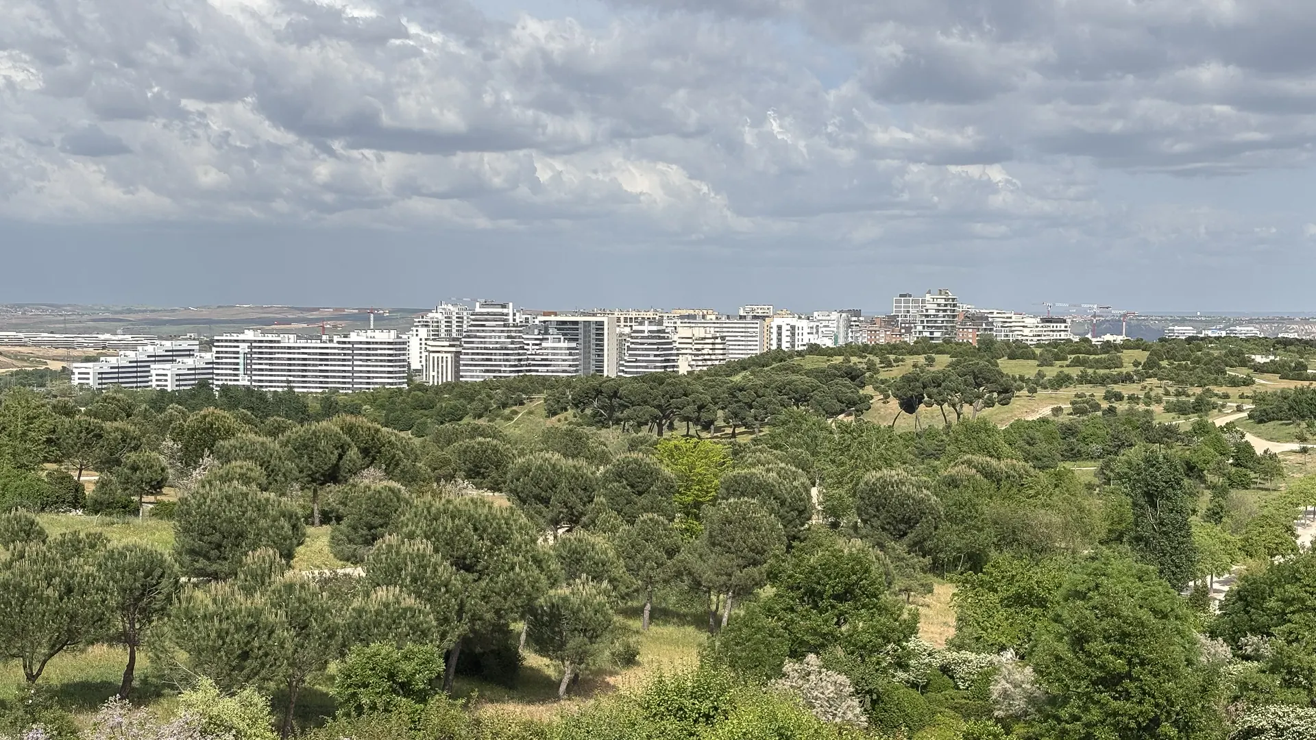 Edificios residenciales modernos de Valdebebas, Madrid, junto al parque forestal Felipe VI.